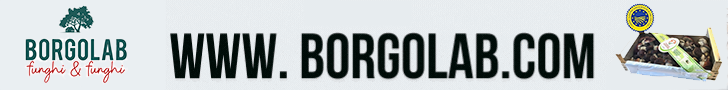 Borgolab Srl